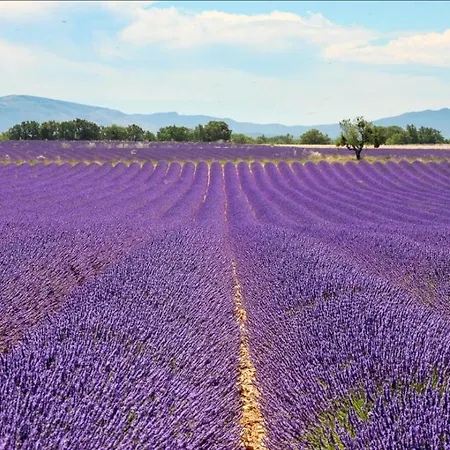 Hébergement de vacances Maison Avec Jacuzzi Et Vue Sur Les Penitents Les Mées